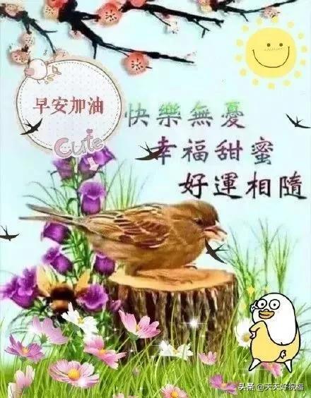 赞美朋友的句子的图片 赞美朋友的句子的图片