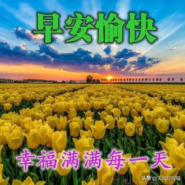 赞美朋友的句子的图片 赞美朋友的句子的图片
