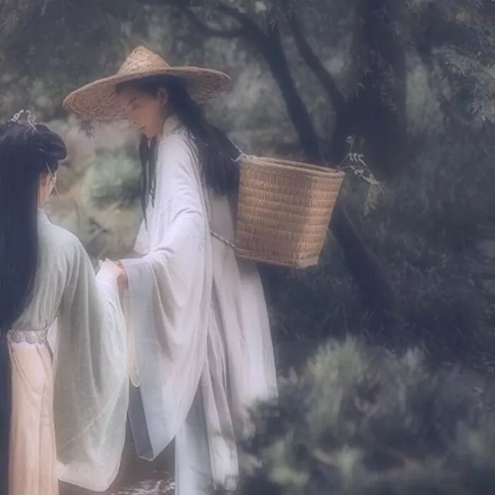 唯美古风句子:我见众生皆草木,唯你是青山-句子橘 唯美古风句子:我见众生皆草木,唯你是青山-句子橘
