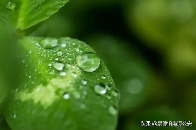 赞美景色的句子诗句
