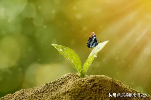 赞美景色的句子诗句
