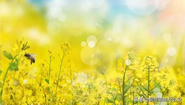 赞美景色的句子诗句