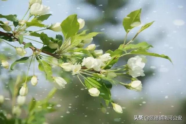 赞美景色的句子诗句