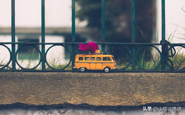 非常隐秘的表白图片