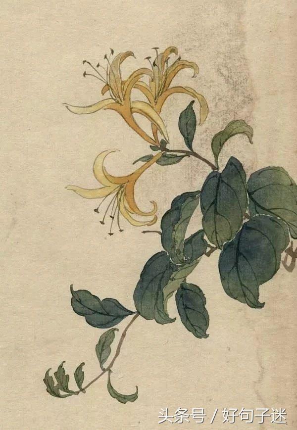 唯美的古风短句 唯美的古风短句
