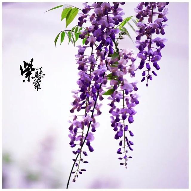 三字短句唯美