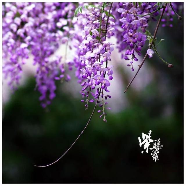 三字短句唯美