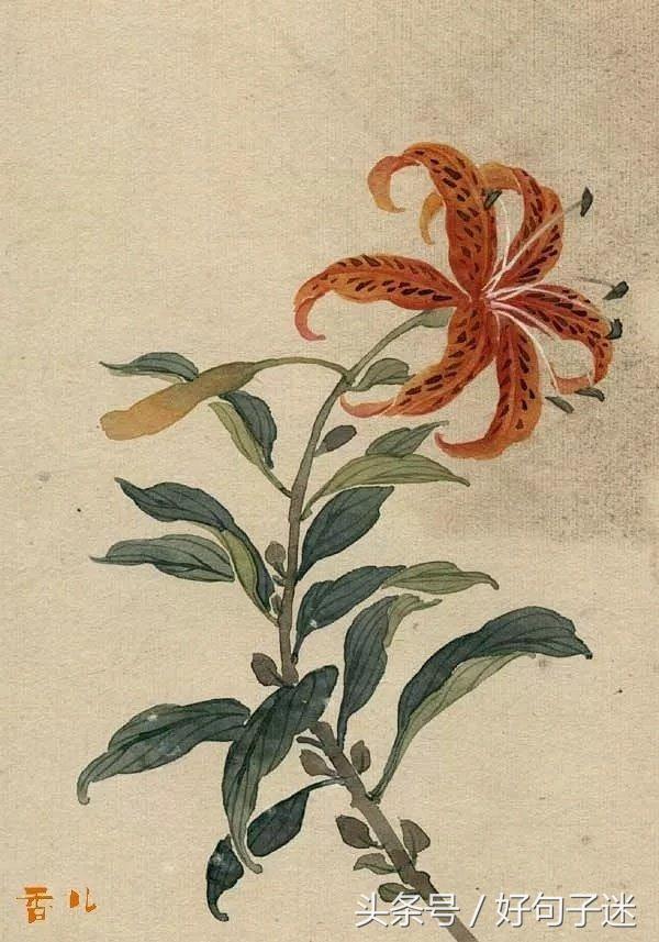 唯美古风短句 唯美古风短句