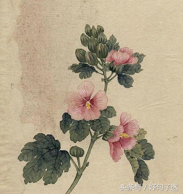 唯美古风短句 唯美古风短句