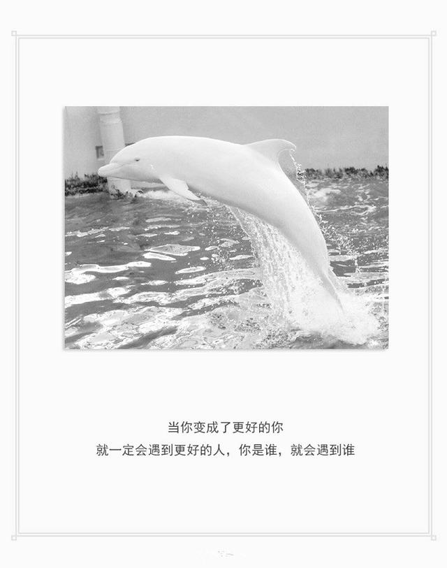 一句话打动人心的经典爱情语录，句句说到心坎上 - 魅力文字控