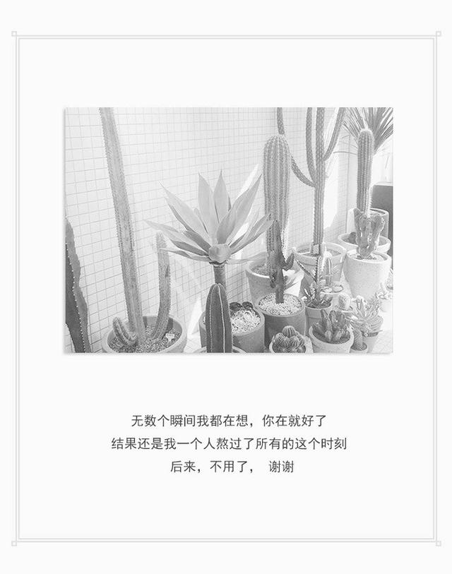 一句话打动人心的经典爱情语录，句句说到心坎上 - 魅力文字控