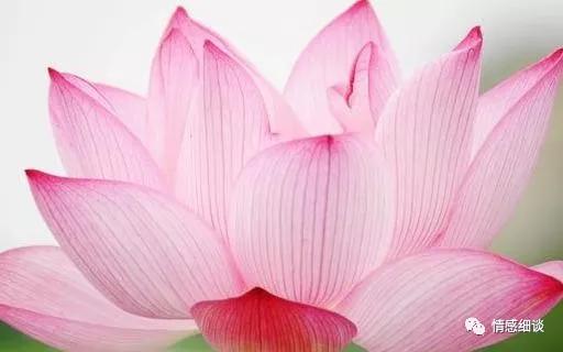 两性关系:中年女人招架不住4句情话,大胆一点,她就是你的人
