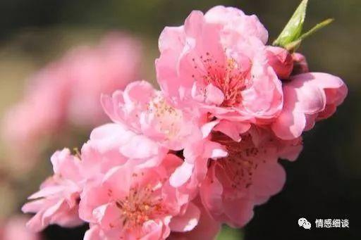 两性关系:中年女人招架不住4句情话,大胆一点,她就是你的人