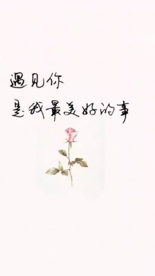 爱情暖暖的句子_(关于爱情的温柔句子)