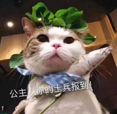 20张哄女朋友的表情包，你都收藏了吗？