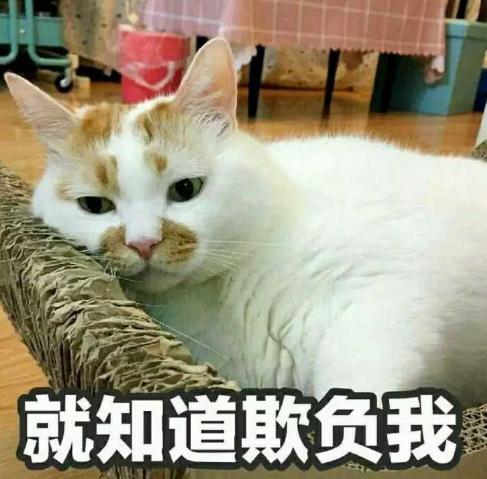 20张哄女朋友的表情包，你都收藏了吗？