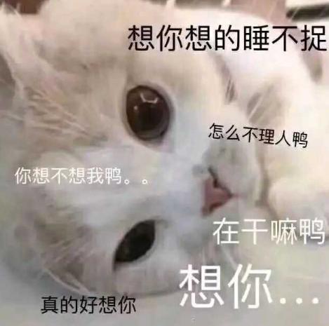 20张哄女朋友的表情包，你都收藏了吗？