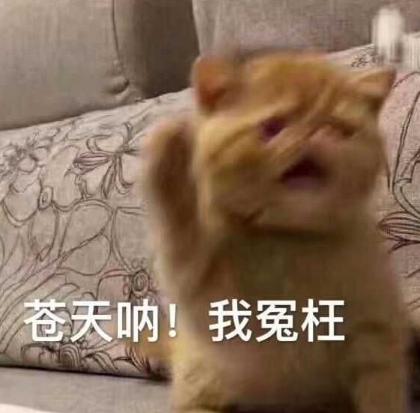20张哄女朋友的表情包，你都收藏了吗？