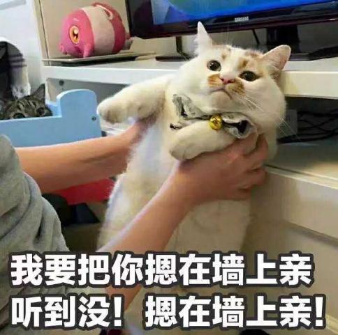 20张哄女朋友的表情包，你都收藏了吗？