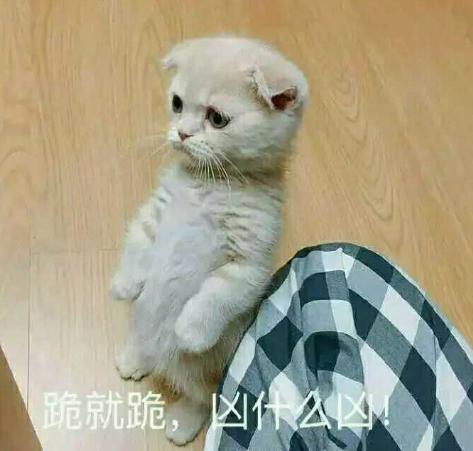 20张哄女朋友的表情包，你都收藏了吗？
