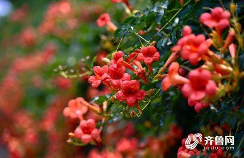 回应对方的爱意的句子