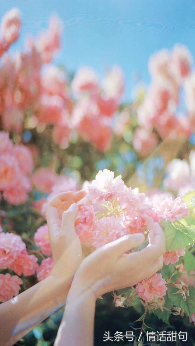 最多人转发的60句撩人情话，又甜又可爱，句句酥到TA心里