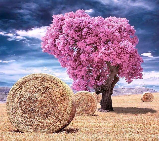 爱情重要的句子 爱情重要的句子